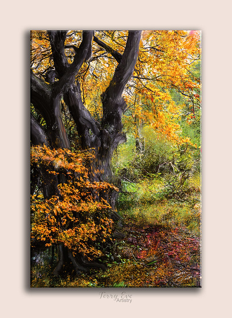 Autumn in the Rain   _8914-NR  Paint