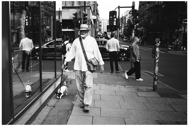Walking the Dog (film)
