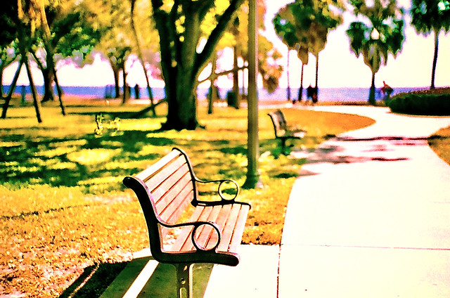 park bench waiting