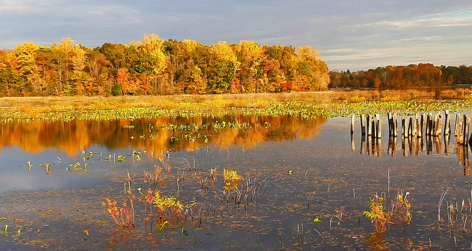 Poconos, October 2023 | Flickr