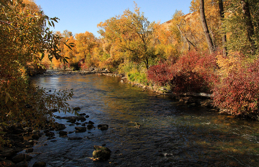 Fall on Provo River