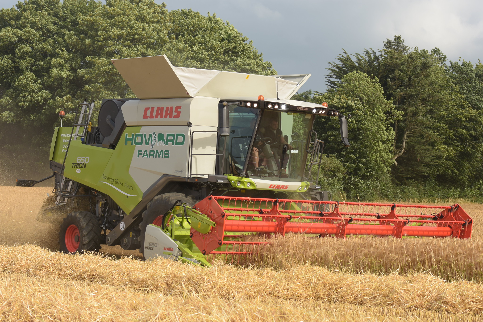 Claas Trion 650 Combine Harvester cutting Winter Barley