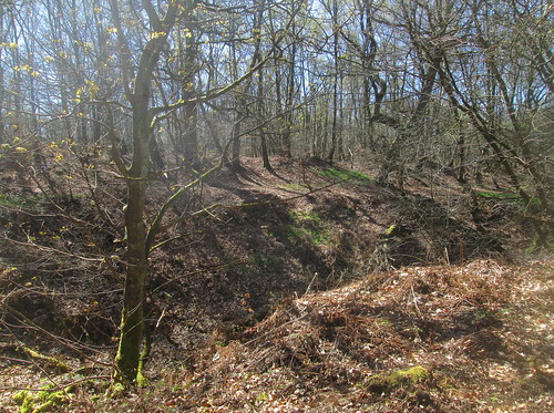 Ditch at Antonine Wall