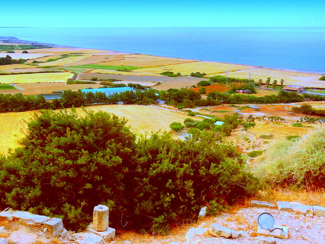 Agricultural Land on the Sea Coast