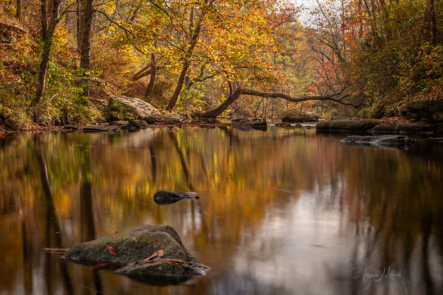 Autumn at Grave's Creek