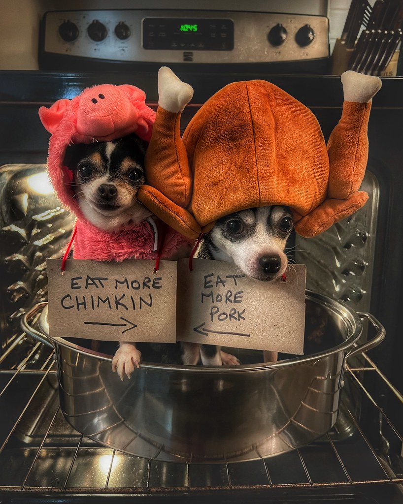 Pork vs Chimkin?