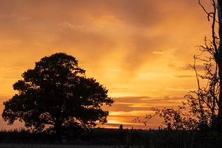 A Cambridgeshire sunset