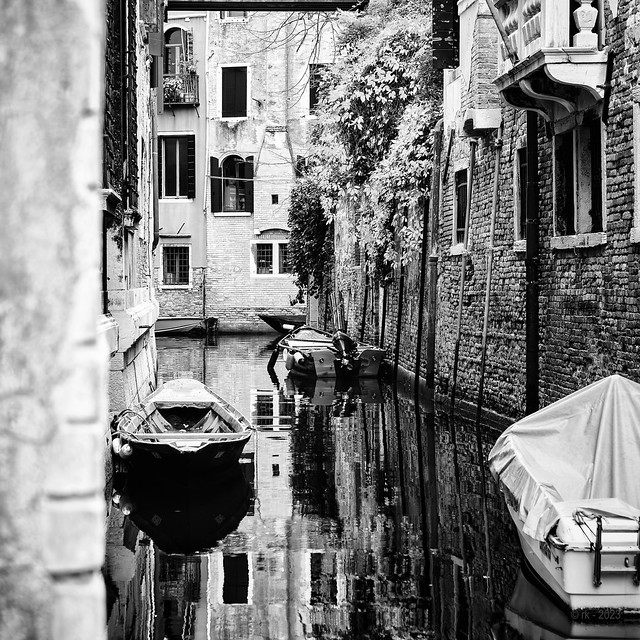 Venice Impressions L...