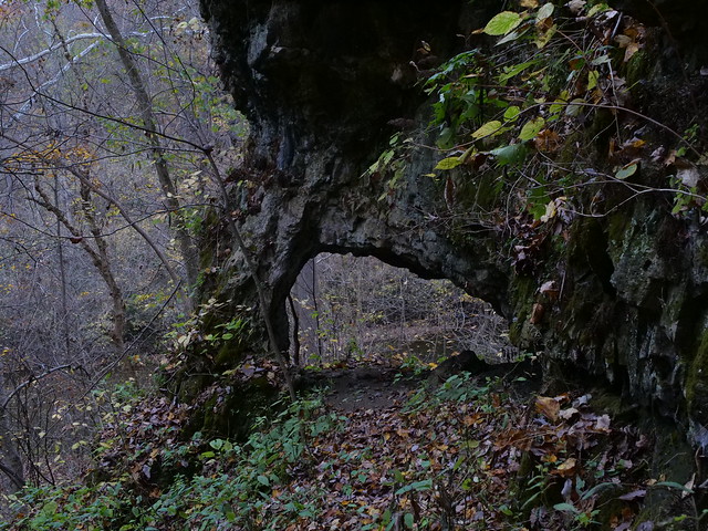 Natural Arch at Miller Nature Sanctuary