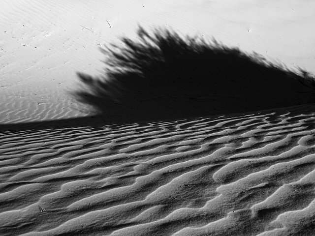 Sand ridges and shadows at White Sands National Park, New Mexico