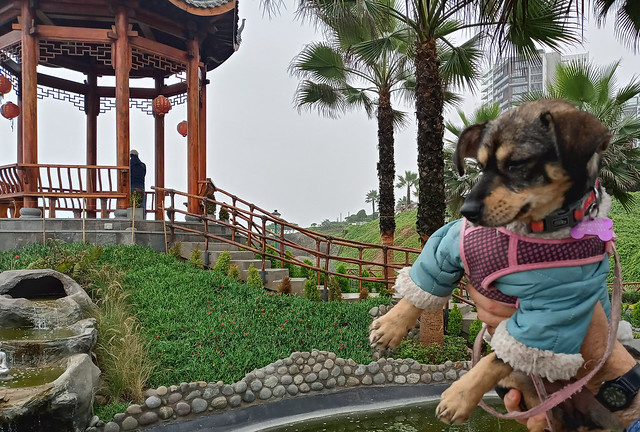 Lima - Parque Chino