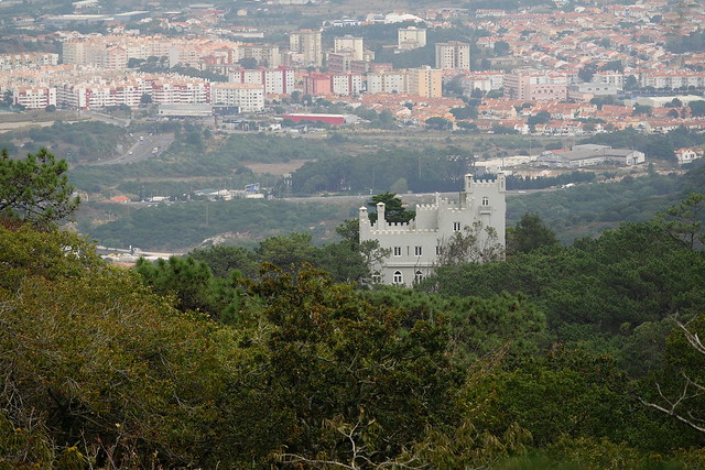 Chateau de Sintra (9)