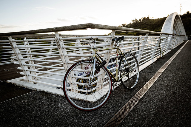 Bicicletta sul Ponte della Musica