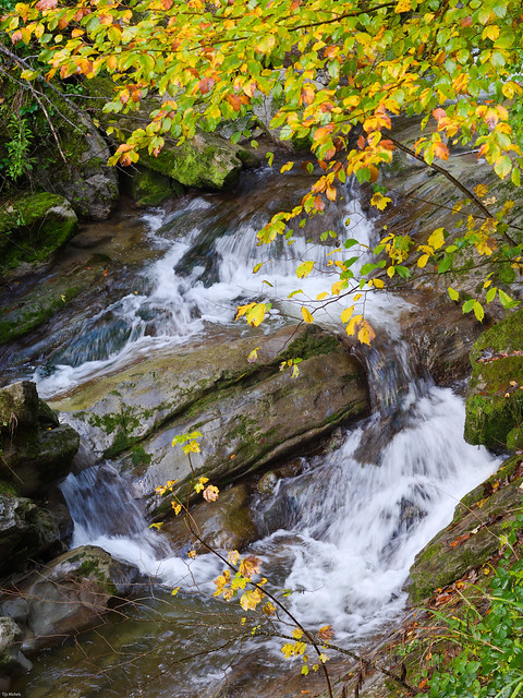 Vibrant fall colors: autumn foliage over a rocky streambed and fast-flowing creek (Littenbach, Taatobel, Switzerland)