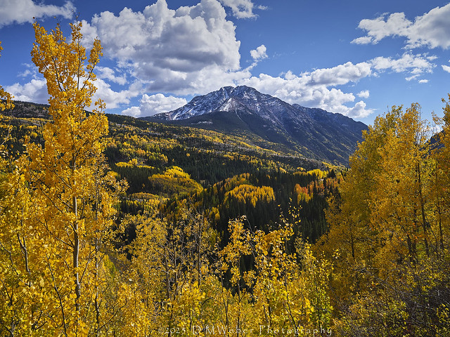 Snowden Peak Autumn Vista