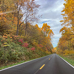 colors Blue Ridge Parkway