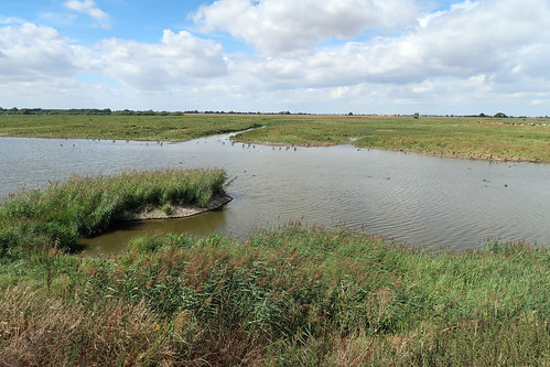 Welney Wetlands Centre