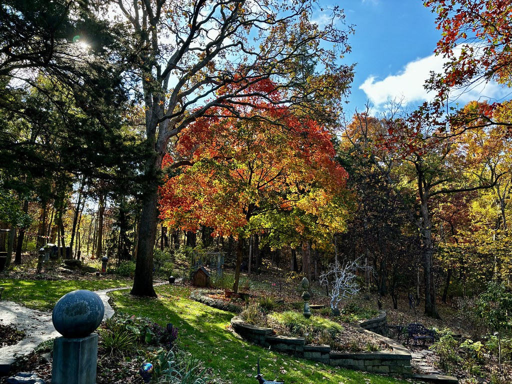 Paved Trail