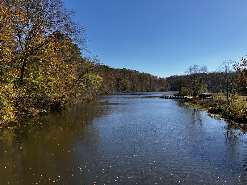 2023 Fall Foliage at Pocahontas State Park