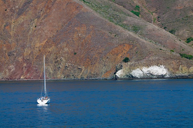 Pretty sail boat, White mineral on slope outside Golden Gate L1140944