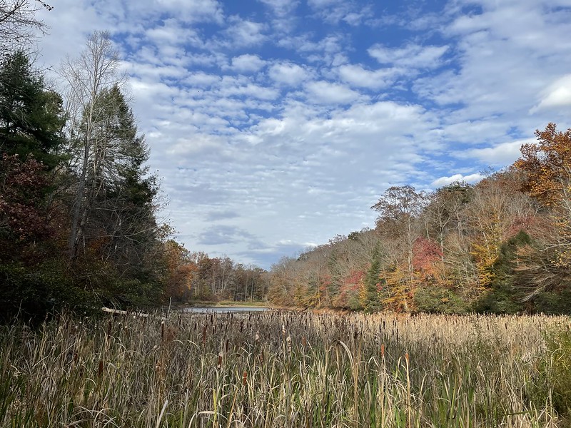 2023 Fall Foliage at James River State Park