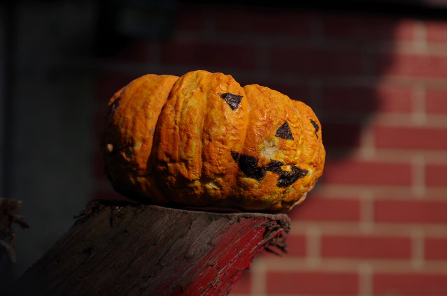 Covid Lockdown Pumpkin (Photographed five months after Halloween 2020) - 28th March 2021 - 01
