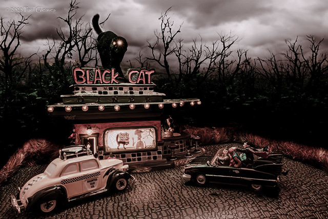Black Cat Diner