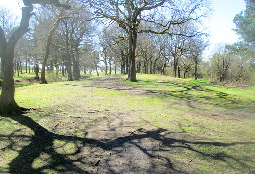 Antonine Wall at Roughcastle Roman Fort