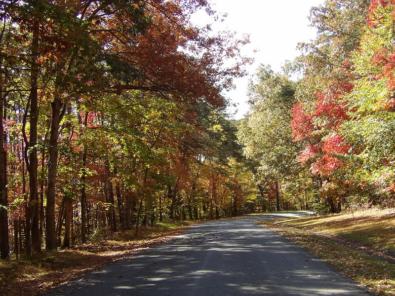 2023 Fall Foliage at Smith Mountain Lake State Park