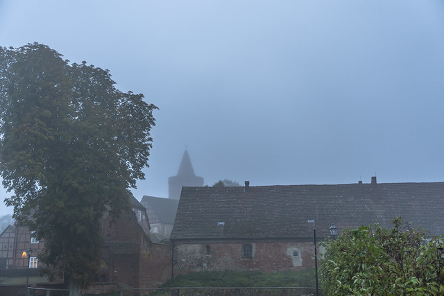 Foggy fall scenery around Burg Stargard, Germany