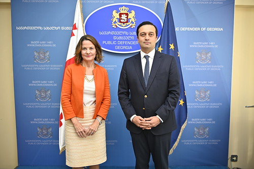 სახალხო დამცველი აშშ-ს საგანგებო და სრულუფლებიან ელჩს შეხვდა / 31.10.2023 / Public Defender Meets with US Ambassador to Georgia