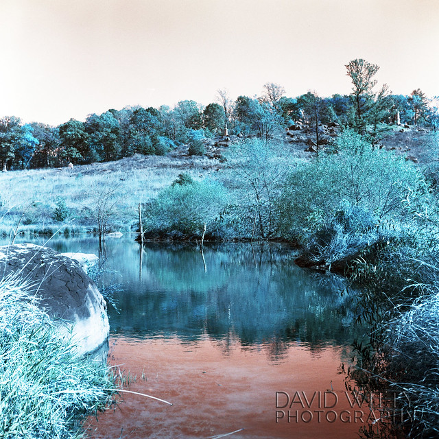 The Marsh at Little Roundtop