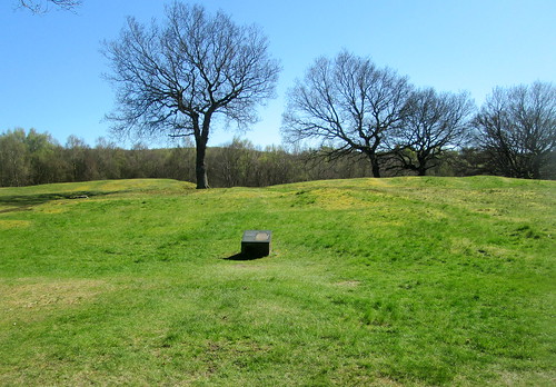 Part of Roughcastle Roman Fort