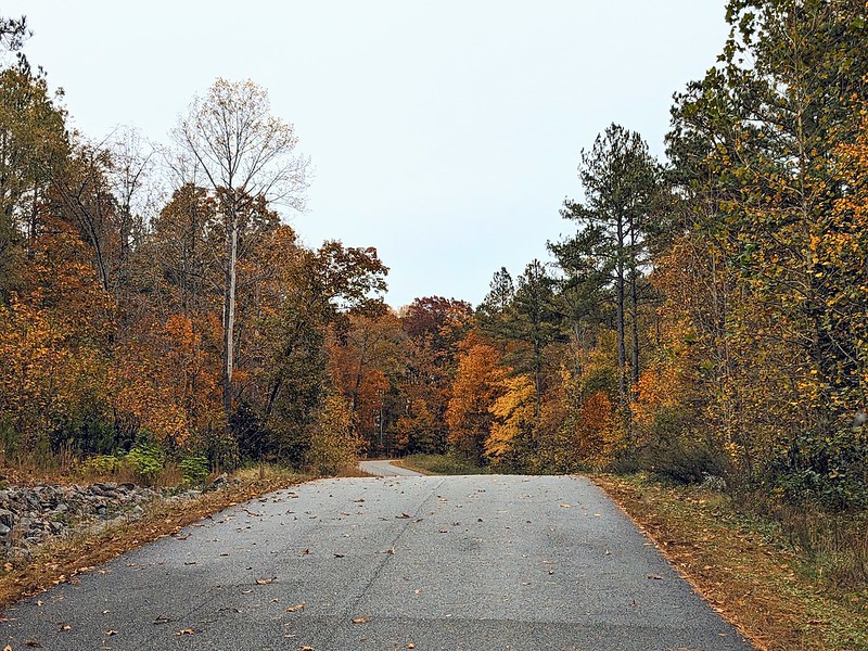 2023 Fall Foliage at Powhatan State Park