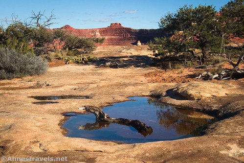 A pothole filled with water along the Wooden Shoe Canyon Trail, Needles District of Canyonlands National Park, Utah