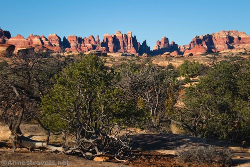 The Needles from the Wooden Shoe Canyon Trail, Needles District of Canyonlands National Park, Utah