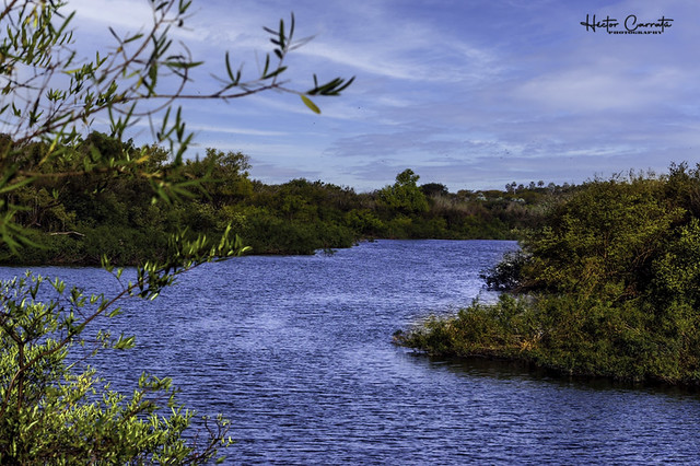 brazo río Uruguay, Parque Nacional El Palmar