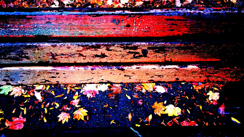 a touch of blue on a wet bench  edit West End Vancouver BC