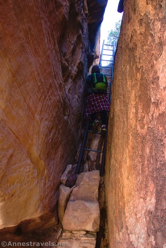 Looking back up the long ladder.  I forgot to mention that there is a rock staircase at the bottom of the ladder...  Peek-a-boo Trail, Needles District of Canyonlands National Park, Utah