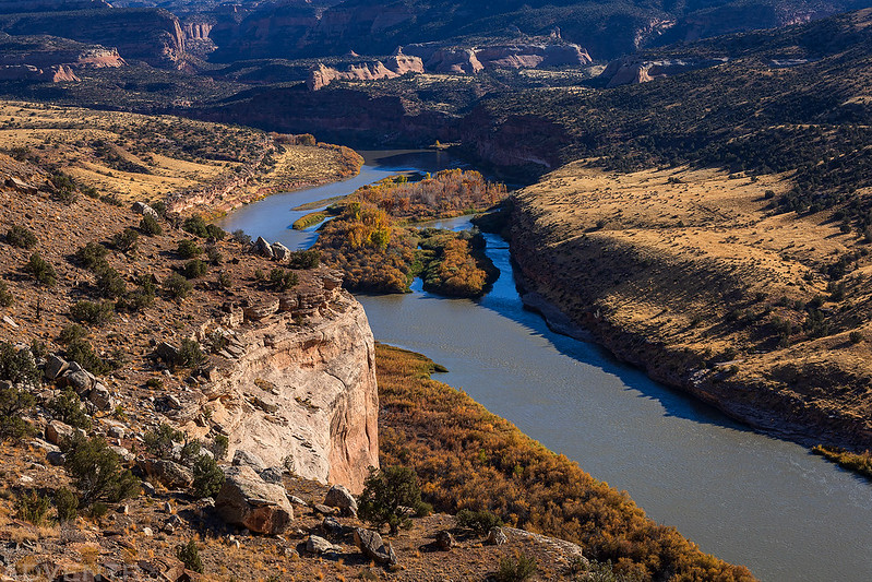 Colorado River View