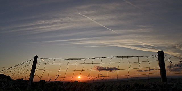 Fencing in the sunset.