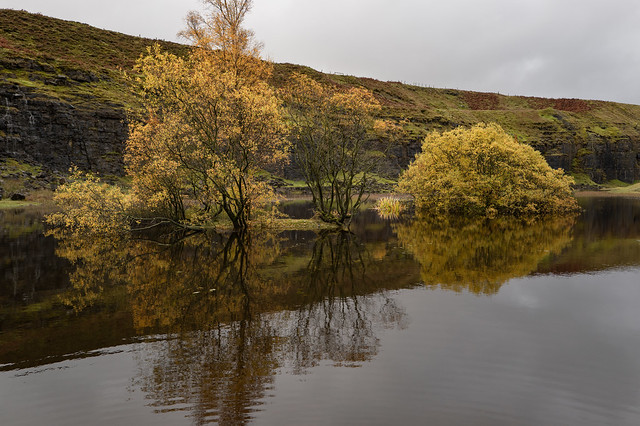 Autumn on the quarry pond