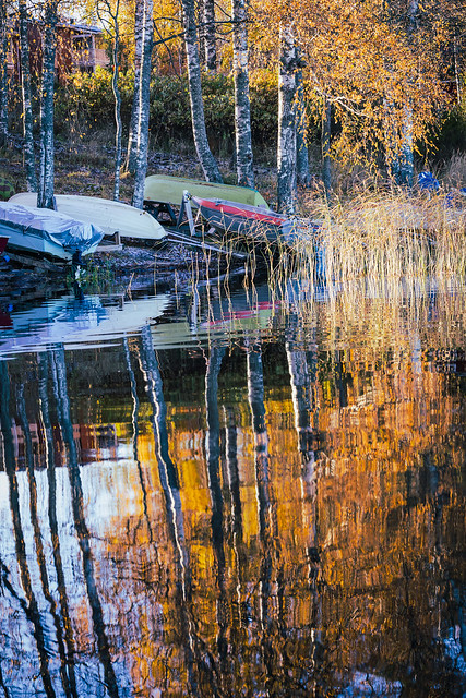 Fall sneaks to Lake Kallavesi shoreline