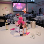 2023 Annual Pink Agenda Gala at the Tribeca Rooftop 10-5-23.