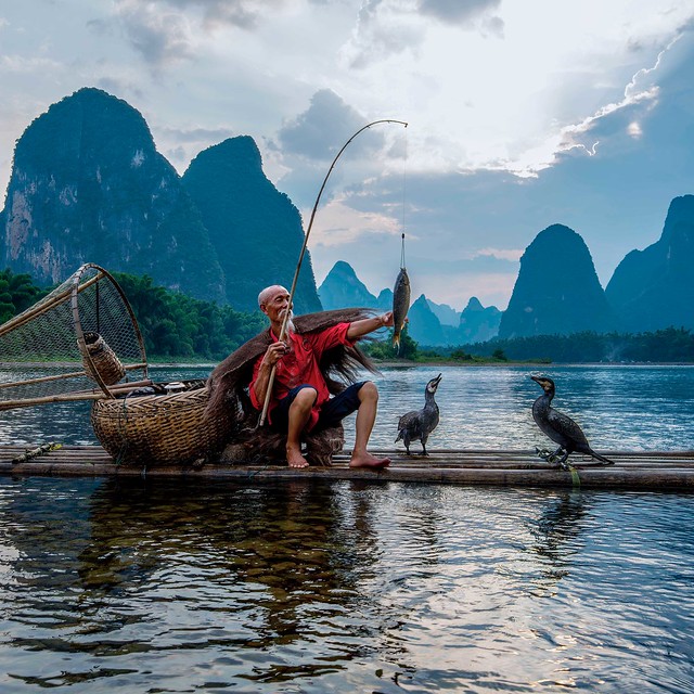 Cormorant Fisherman, Yangshuo