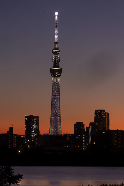 Tokyo Skytree in Dusk