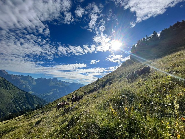 AUSTRIA - Sustainable Hay Milk Farming in the Austrian Alpine Arc