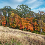  Grafton Illinois Fall

I&#039;m really becoming more and more disappointed with Luminar Neo, the focus is on magical toys controlled with AI instead of making IQ the primary aim, like other major edit ware providers do ? 

 I don&#039;t believe IQ is there in RAW develop where it should be because it requires you to take it through more re-developing, and adds enhance AI to a half-baked RAW process so why wouldn&#039;t it look good compared ? 

If I can&#039;t put a RAW out without needing &#039;major editing&#039; process and steps to improve the IQ dramatically? 
 btw includes no lens corrections, just auto distortion in Neo?


So it&#039;s a gimmick to me, and I&#039;m sorry I invested money personally speaking as a paid customer...they have gimmicky pricing levels and gimmicky plans, they bombard you with an avalanche of 82% off offers for gimmicky side-show crap you could do on your own,,,

The latest update crashes and freezes, the fix is for removing Visual C++ 2013 and reinstalling a C++ 2014 package, they will walk you through it and it&#039;s a lot of manual Registry deletions. It&#039;s also deleting what the builder put there for a reason to begin with....if Toyota has a recall do I have to do the repair myself? 

When I use LR, DXo, my Beta Affinity Photo 2.3 ? They are fine and dandy, running smooth but Affinity struggles with 50mb files at times with multiple layers and processes ....none freeze or crash so I have little motivation to lose patience with a faulty unreliable and work stopping editing software app I regret purchasing, disgruntled you bet but with reason. 


DXo doesn&#039;t cost more than Neo, because the structuring and pricing will lead you to spending the same 

I&#039;m done as are many before me with Neo

