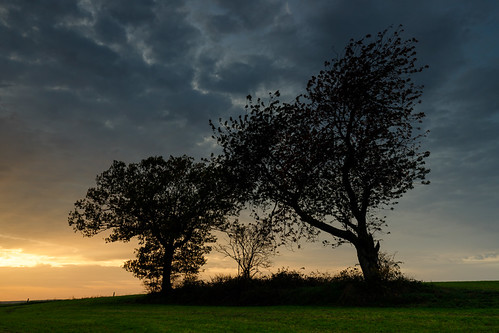 20221029-Canon EOS 6D Mark II-2897 by Bartek Rozanski, end of the day at the verge of ardennes near longueville, luxembourg, belgiumcondroz longueville lux