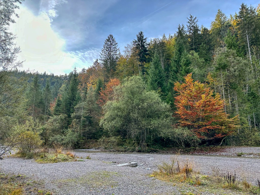 Gießenbach creek with autumnal forest near Kiefersfelden in Bavaria, Germany